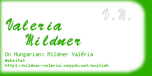 valeria mildner business card